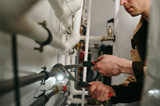 Best Plumbing Repair Near Me  in Merrillville, IN
