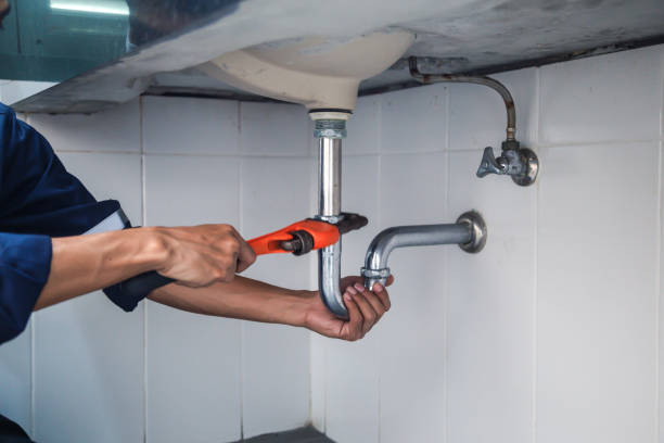 Best Plumbing Inspection Services  in Merrillville, IN