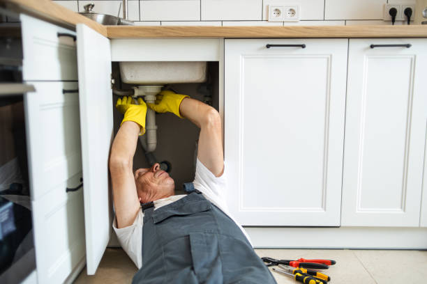 Best Plumbing Installation Services  in Merrillville, IN